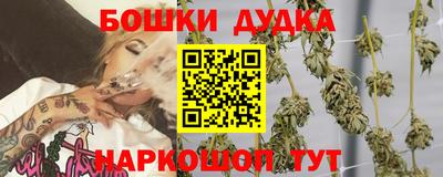 a pvp Гай