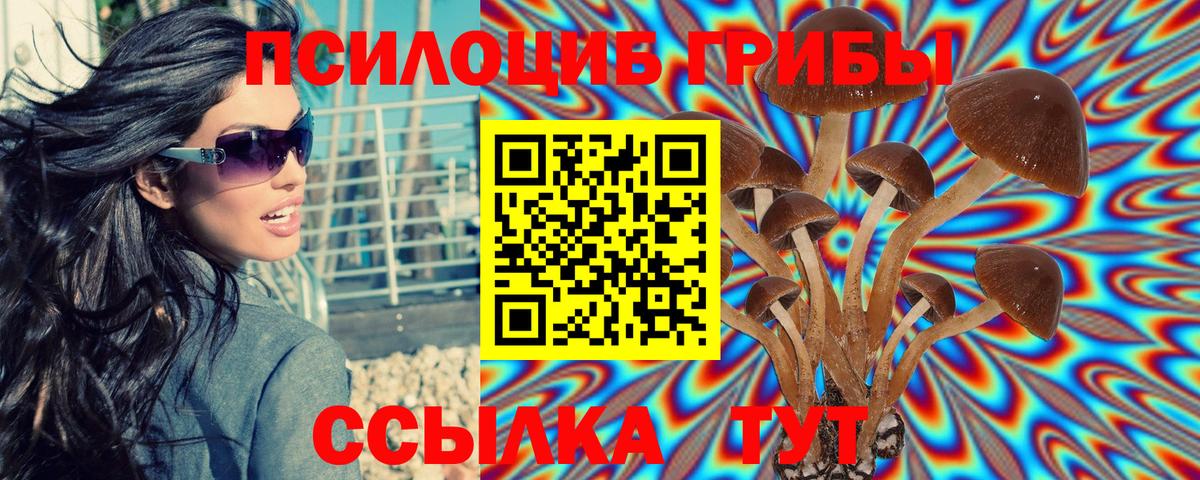 Галлюциногенные грибы MAGIC MUSHROOMS Нижний Тагил